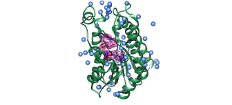 Estimating substrate affinity-1